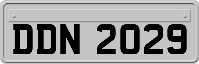 DDN2029