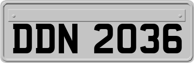 DDN2036