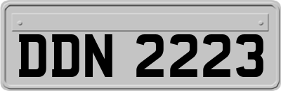 DDN2223