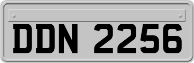 DDN2256