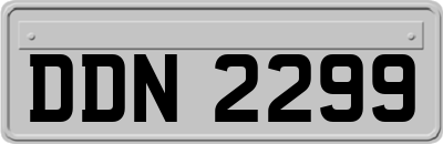 DDN2299