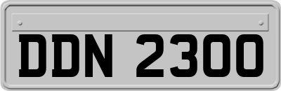 DDN2300