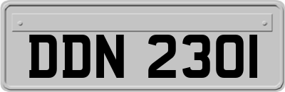 DDN2301