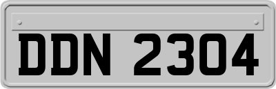DDN2304