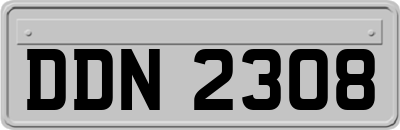 DDN2308