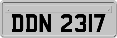 DDN2317