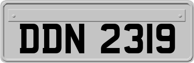 DDN2319