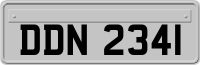 DDN2341