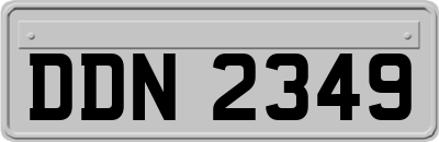 DDN2349