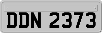 DDN2373