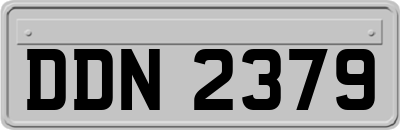 DDN2379