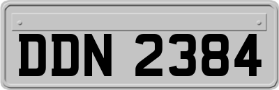 DDN2384