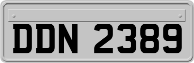 DDN2389