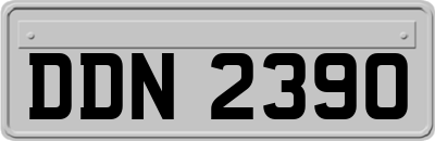 DDN2390