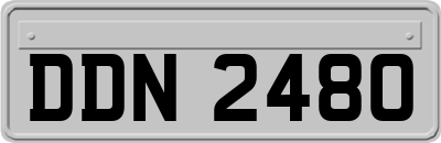 DDN2480