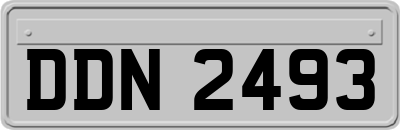 DDN2493