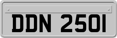 DDN2501