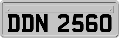 DDN2560