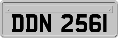 DDN2561