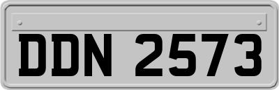 DDN2573