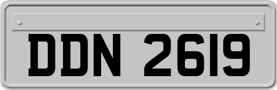 DDN2619