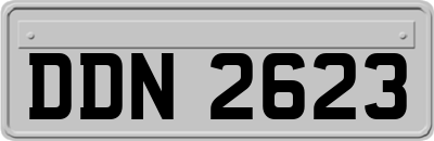 DDN2623
