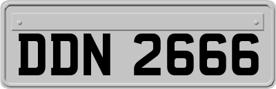 DDN2666