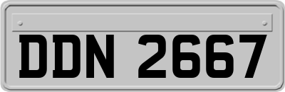 DDN2667