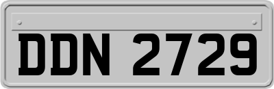 DDN2729