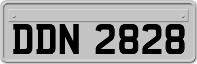 DDN2828