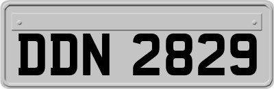 DDN2829