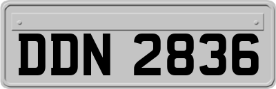 DDN2836