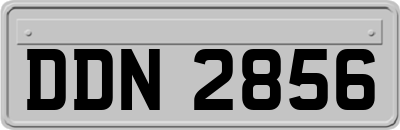 DDN2856