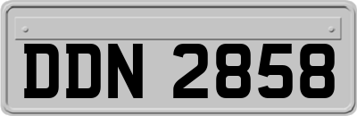 DDN2858