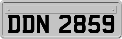 DDN2859