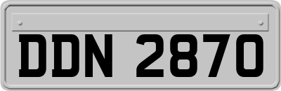 DDN2870