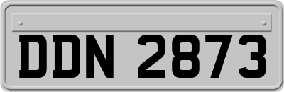 DDN2873