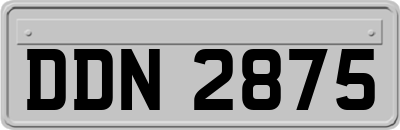 DDN2875