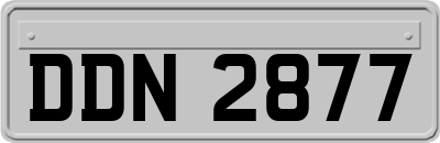 DDN2877