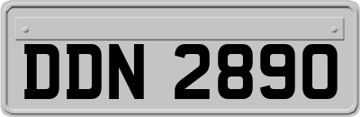 DDN2890