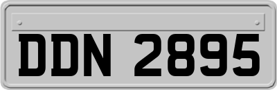 DDN2895