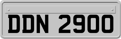 DDN2900