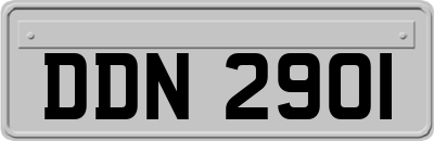 DDN2901