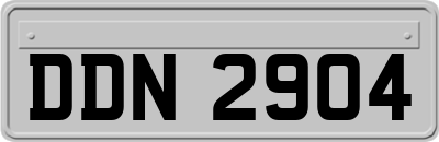 DDN2904