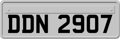 DDN2907