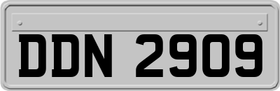 DDN2909