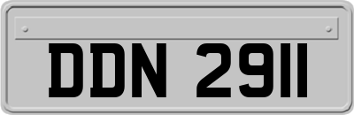 DDN2911
