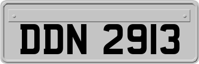 DDN2913