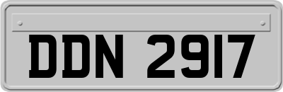 DDN2917