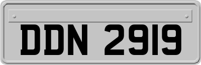 DDN2919